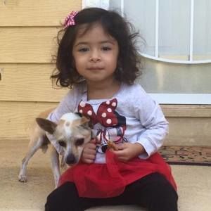 Meet your Posher, Tony